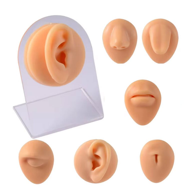 Realistic Silicone Models