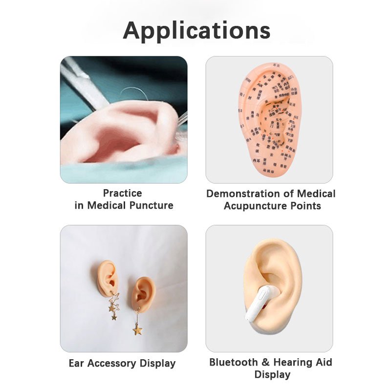 Simulated Silicone Organs Application